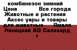 комбинезон зимний › Цена ­ 1 300 - Все города Животные и растения » Аксесcуары и товары для животных   . Ямало-Ненецкий АО,Салехард г.